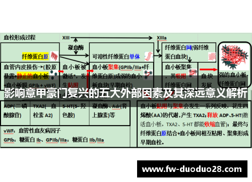 影响意甲豪门复兴的五大外部因素及其深远意义解析