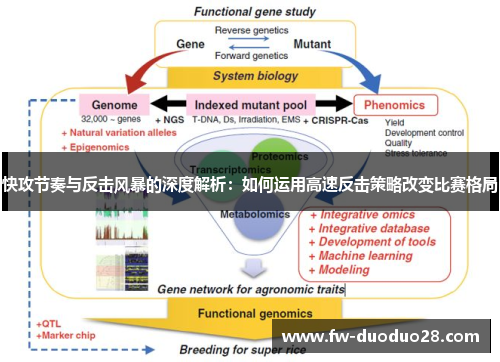 快攻节奏与反击风暴的深度解析：如何运用高速反击策略改变比赛格局