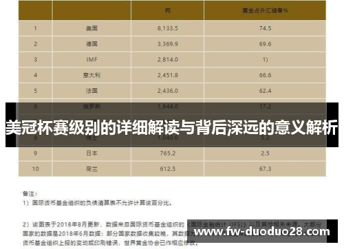 美冠杯赛级别的详细解读与背后深远的意义解析