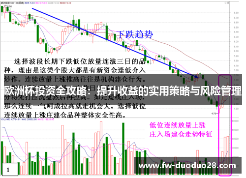 欧洲杯投资全攻略：提升收益的实用策略与风险管理